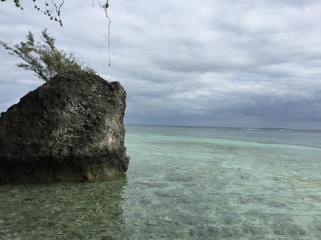 The Whitehouse By The Sea Βίλα Panglao Εξωτερικό φωτογραφία